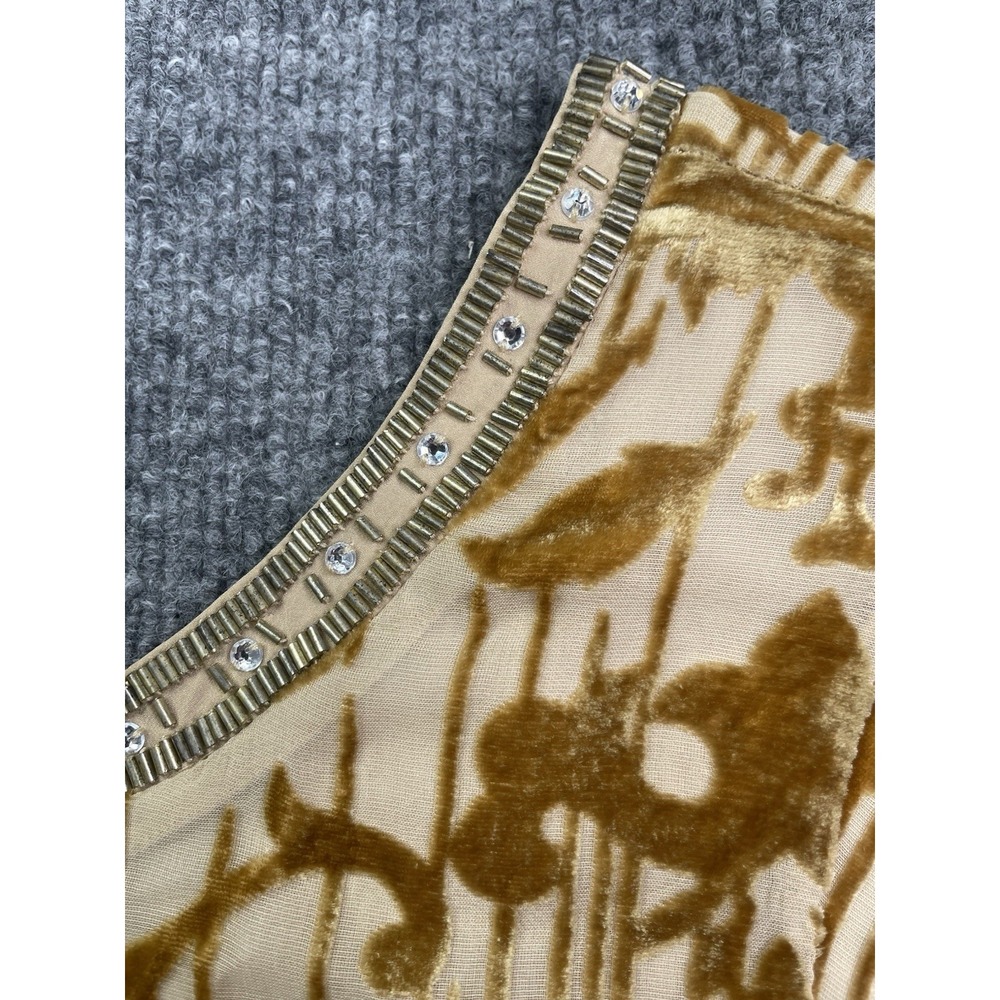 Sundance Dress Women's 10 Champagne Vineyard‎ Silk Burnout Velvet Embellished - Picture 5 of 8